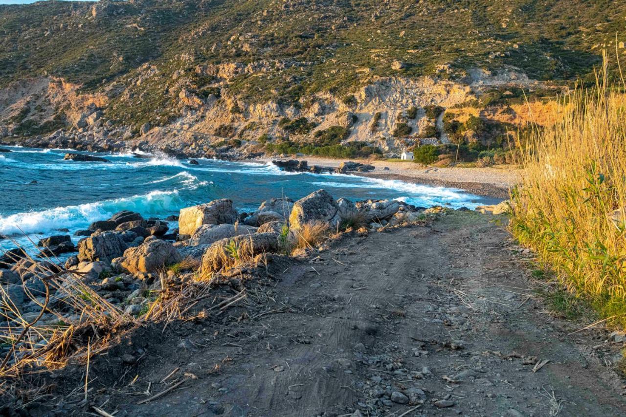 Villa Demetra كيساموس المظهر الخارجي الصورة